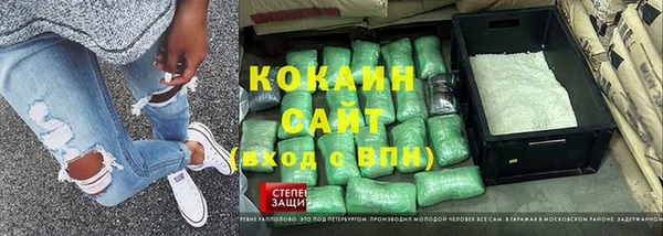 гашик Бородино