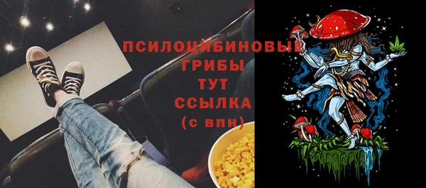 герыч Бугульма