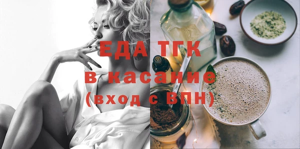 гашик Бородино