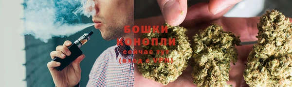 гашик Бородино